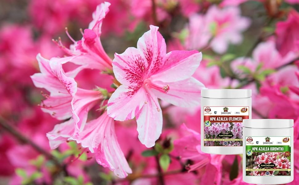 Garden King™ NPK Azalea Care Kit (NPK for Growth (200 gm) + NPK for