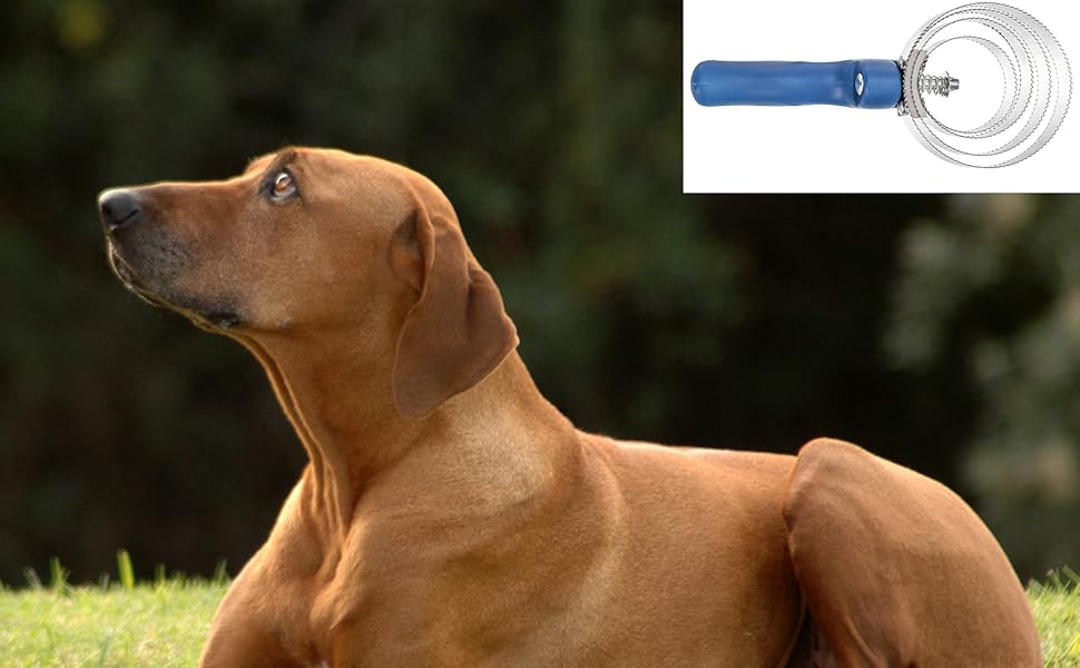 ZENFUN 6 Pcs Reversible Curry Combs, 4 Rings Stainless