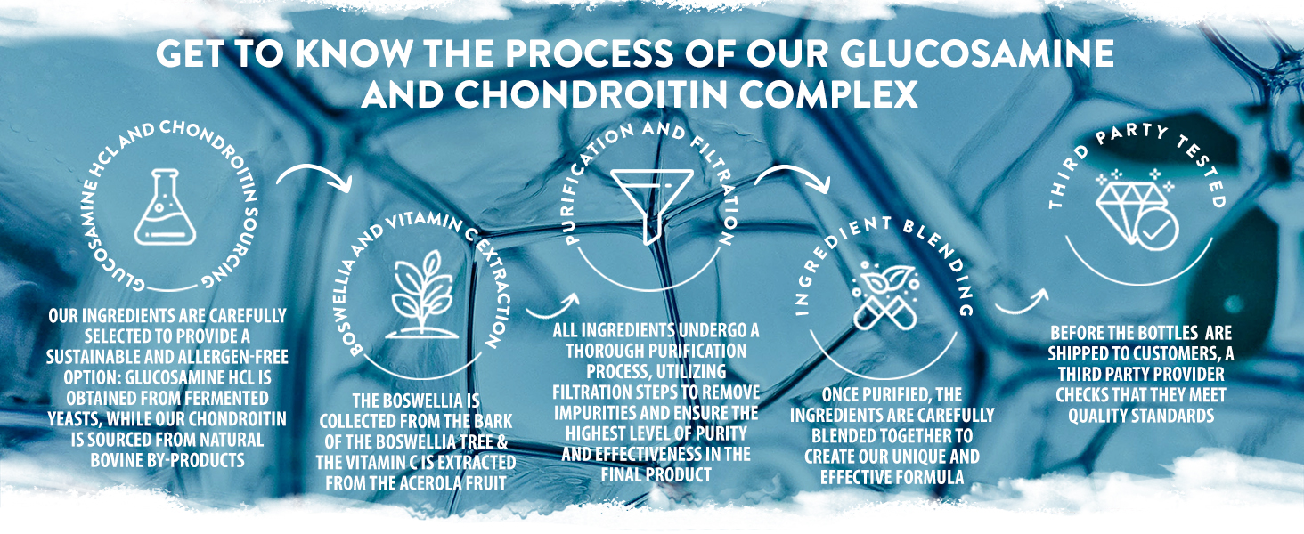 Glucosamine and Chondroitin High Strength + MSM, Boswellia Extract and Vitamin C (3 Capsules