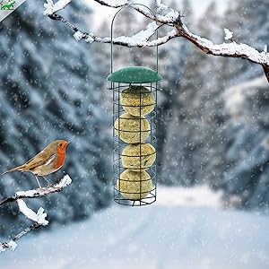 Comedero en meses de invierno