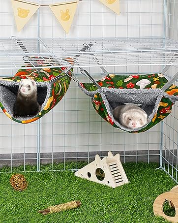 ferret hammock