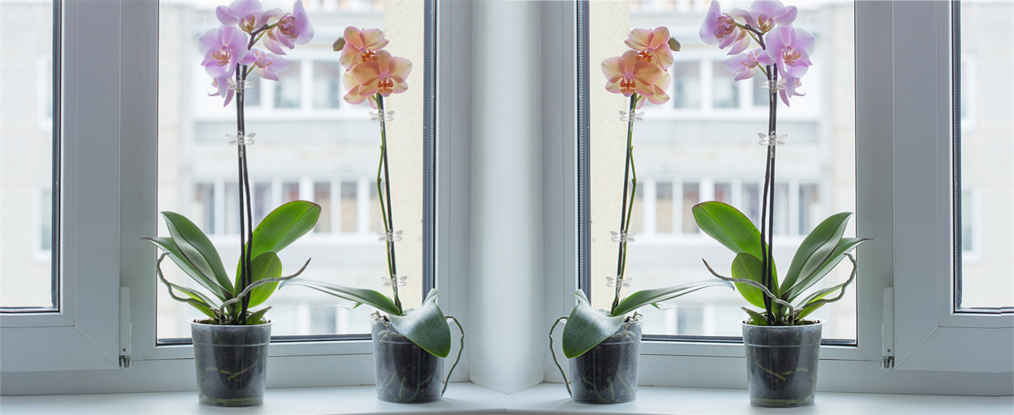 Peohud 200 Pcs Orchid Clips, Dragonfly Plant Clips, Garden