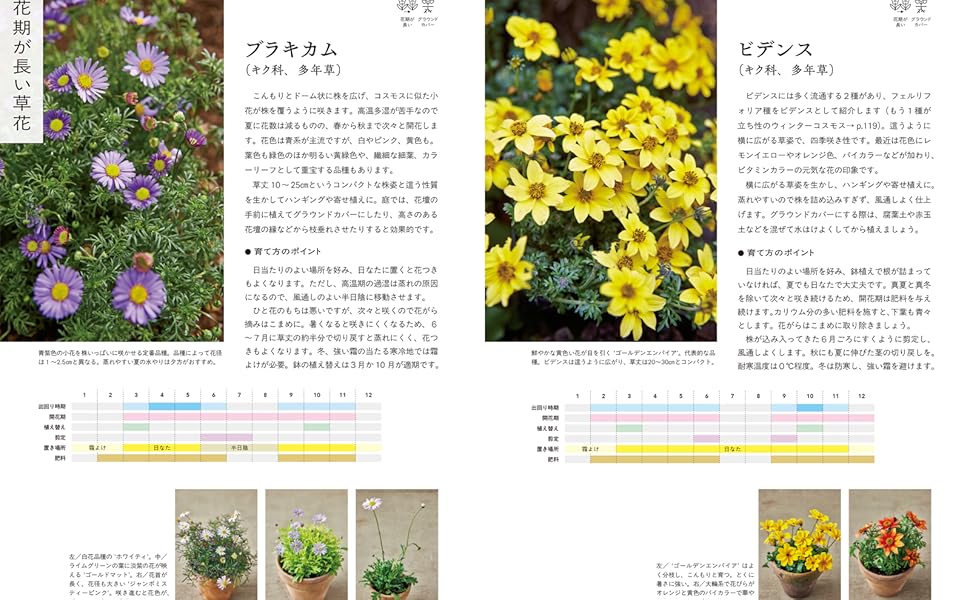 フローラ黒田園芸の草花図鑑（育て方・使い方がよくわかる