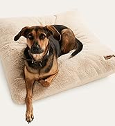 UnHide Floof Pet Pillow