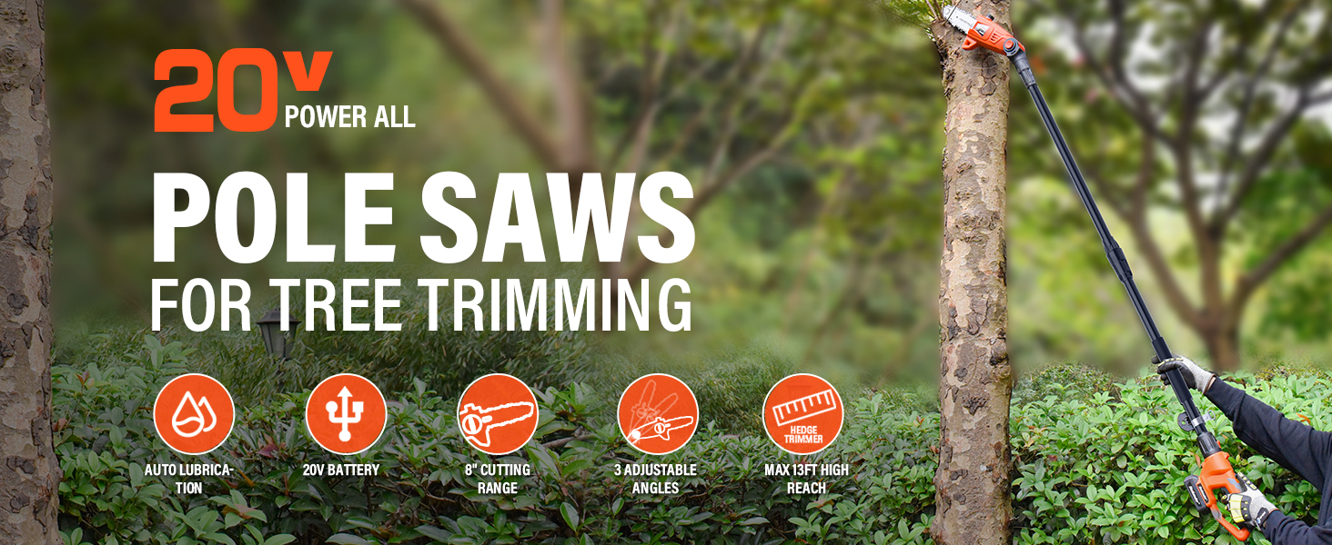 Pole Saw 8Inch Cordless Pole Saws for Tree Trimming, 15