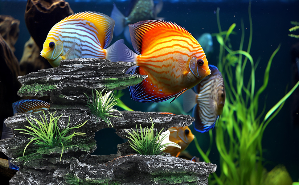 fish tank accessories