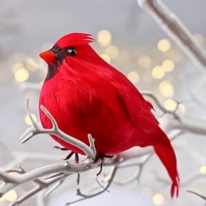 置物  Birds Red Cardinal Amazon.com: Distinctive Designs 4.125