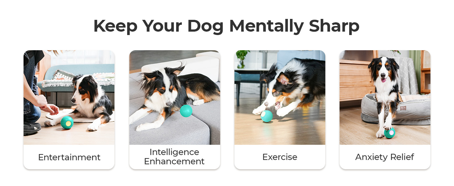 Cheerble Enhanced Rubber Version Interactive Dog Ball, Self Moving Dog