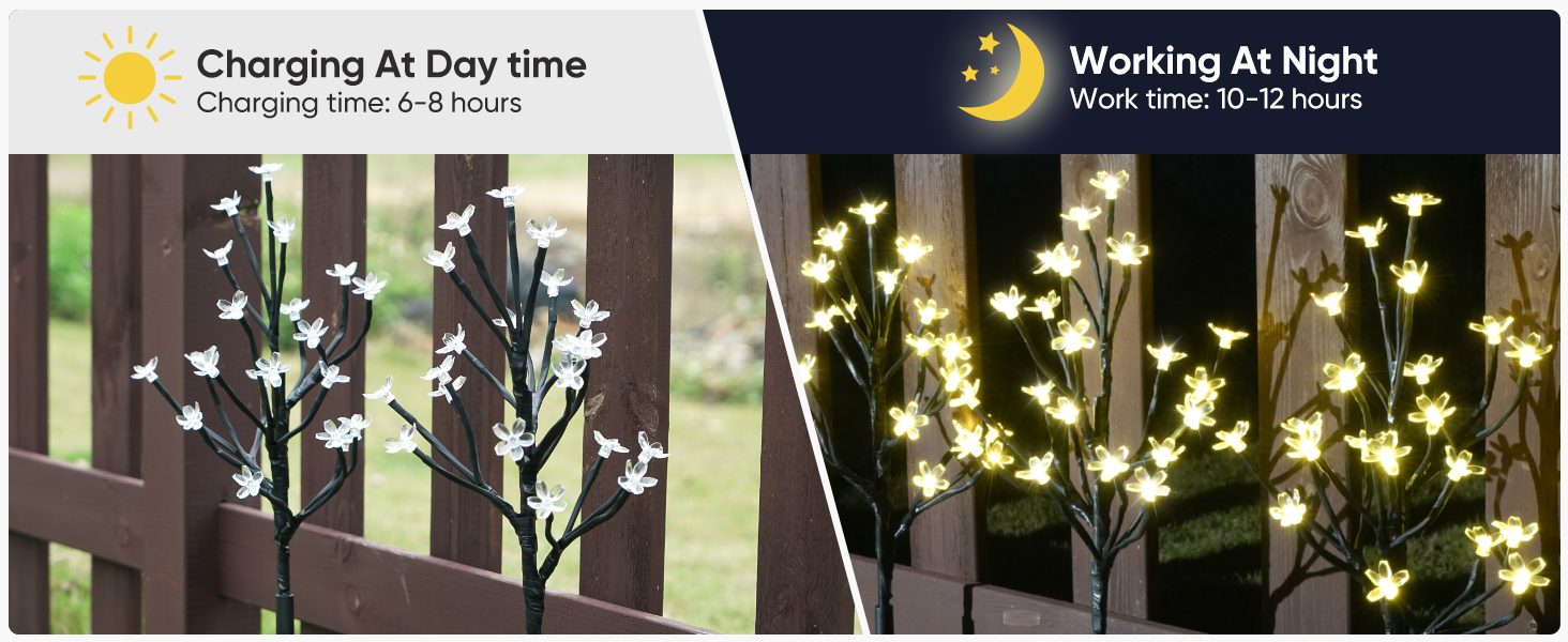 solar lights for outside