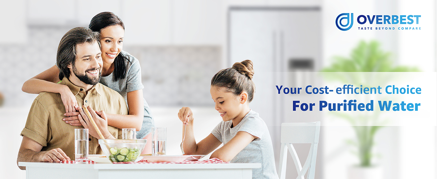 Overbest 5231JA2002A Refrigerator Water Filter, Replacement