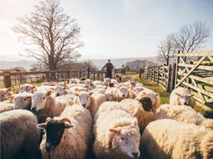 Small manufacture image 3