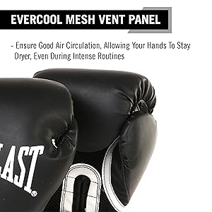 Evercool Mesh