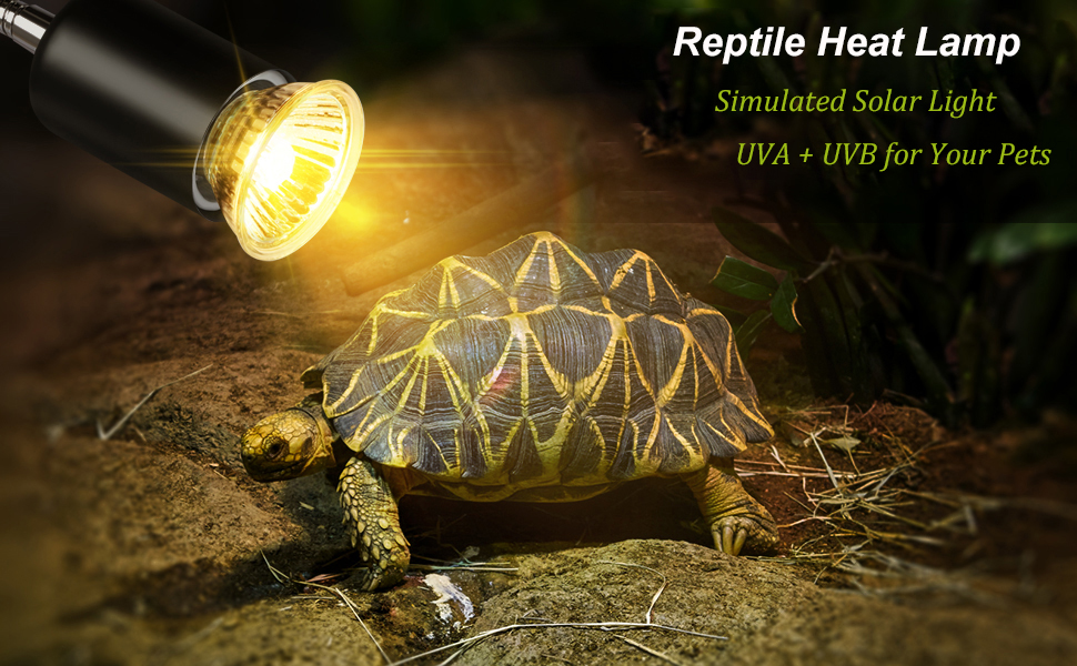 Rnyloas Reptile Heat Lamp 360° Rotatable, Reptile Basking