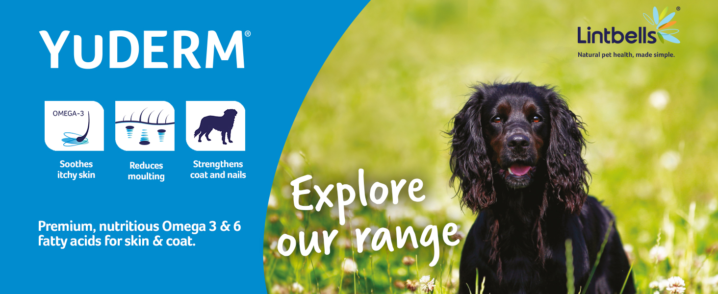 Lintbells YuDIGEST Plus for Dogs Veterinary Strength Fastacting