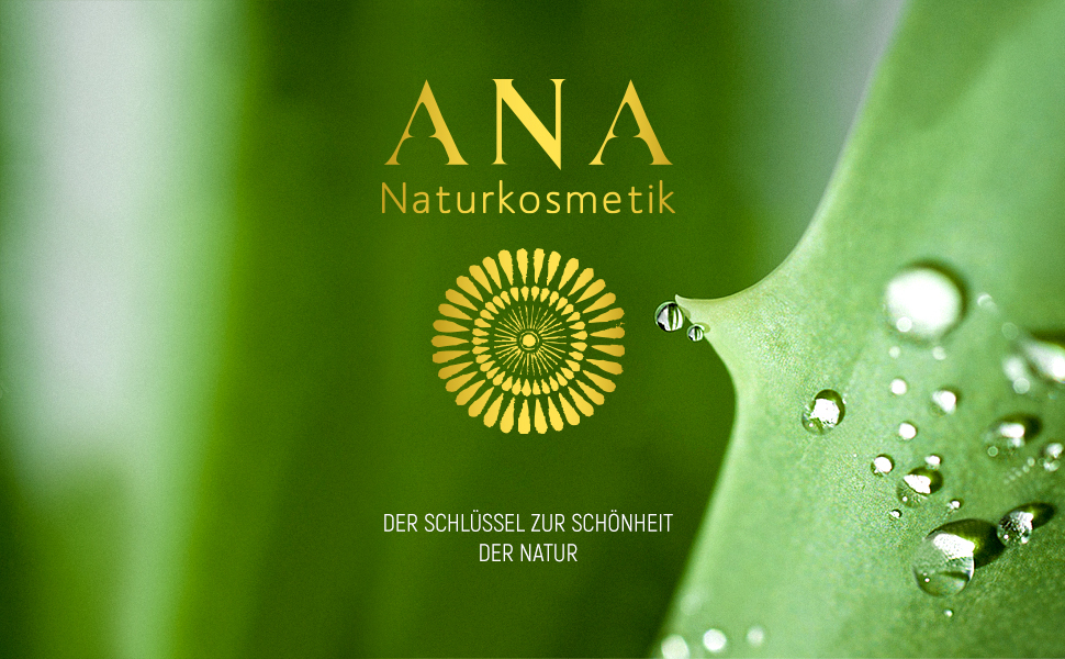 ANA logo