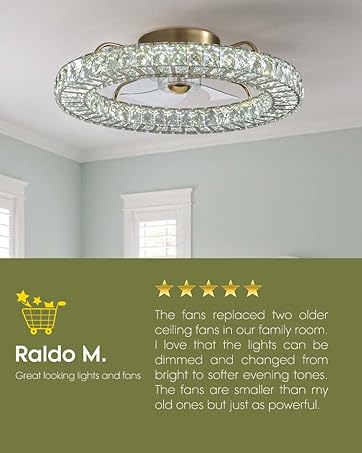 CD♡ Amazon.com: LUDOMIDE Flush Mount Ceiling Fan with Light, 22