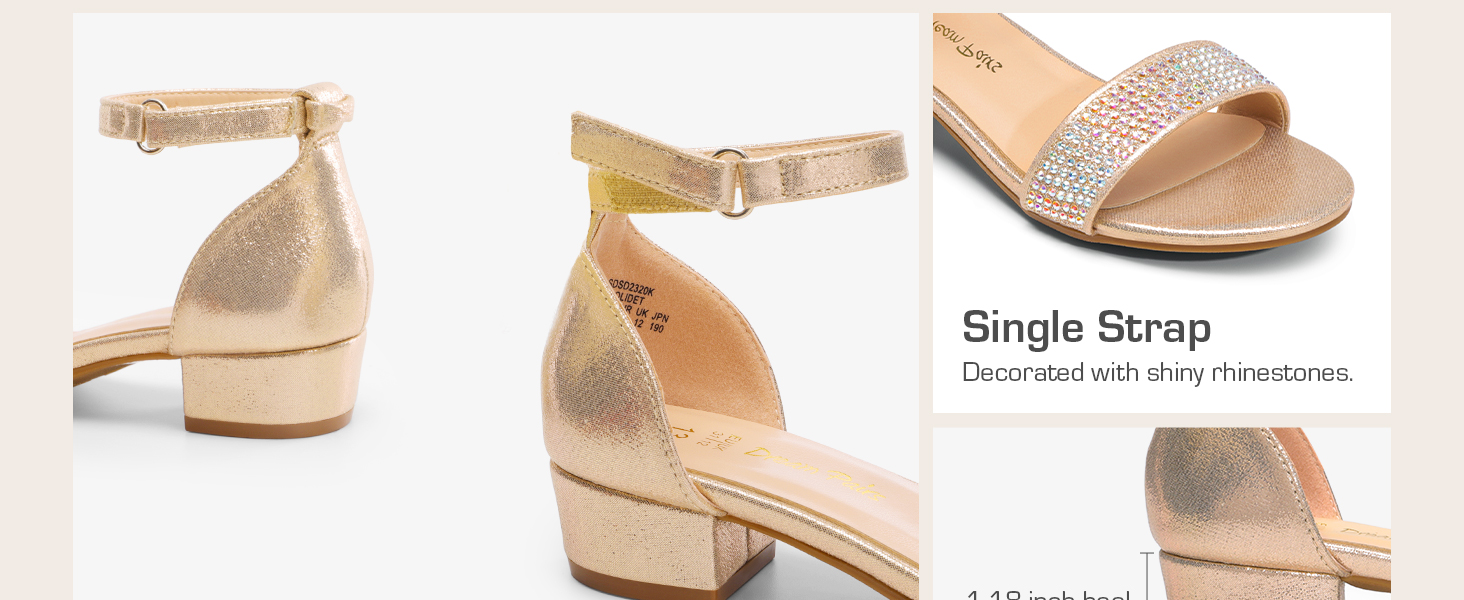 sdsd2320k