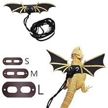ein drachenförmiger Drachen mit daran befestigten Flügeln.
