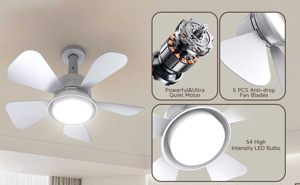 small socket ceiling fan light
