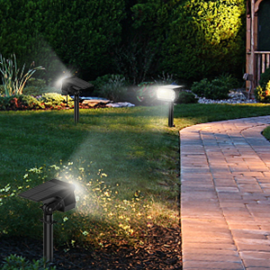 Solar Garden Lights