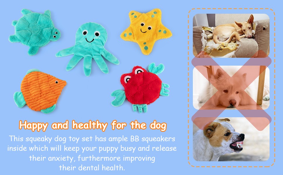 happ and healthy for the dog