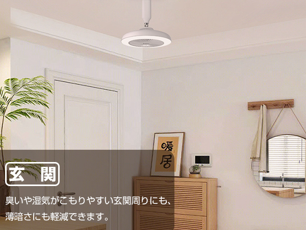 LumaFlow 2 箱無し LumaFlow 照明+送風+空気循環！機能性と外観美を追求する