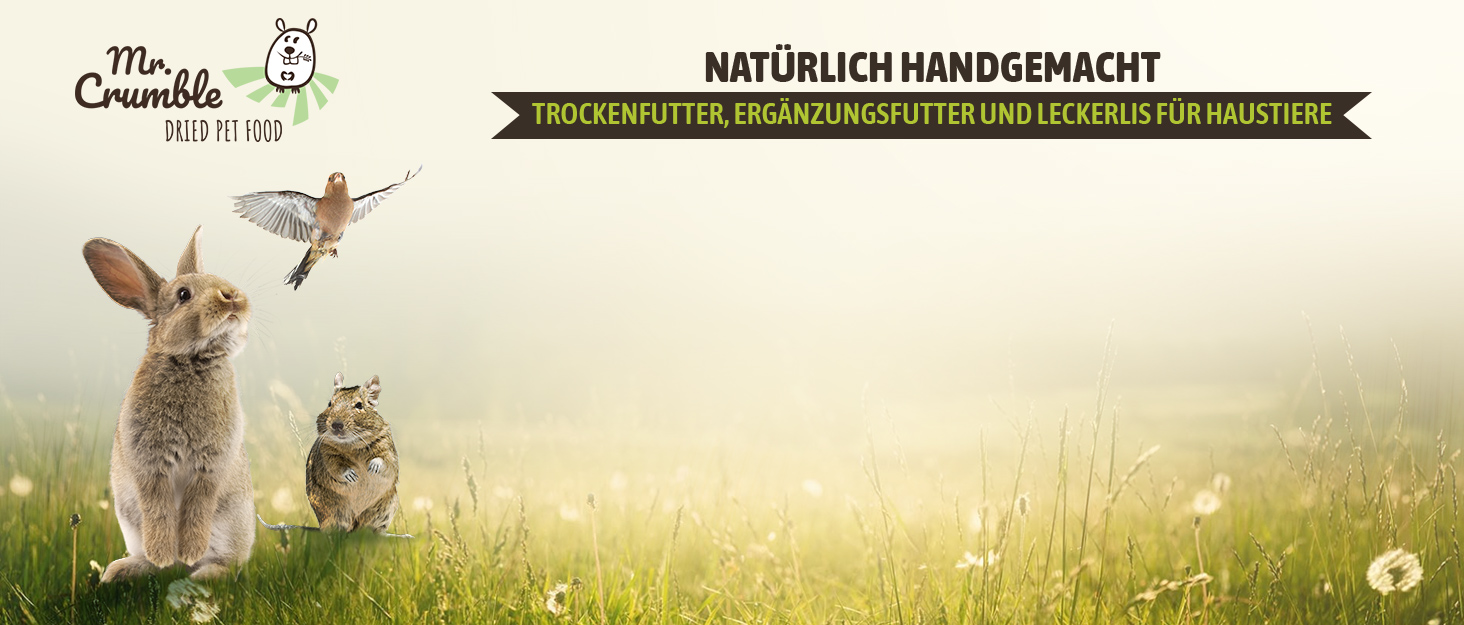 Der Text lautet „NATÜRLICH HANDGEMACHT“. Pastorale Szene mit Schafen auf einer sonnenbeschienenen Wiese, mit sanfter goldener Beleuchtung und natürlicher Umgebung im Freien.