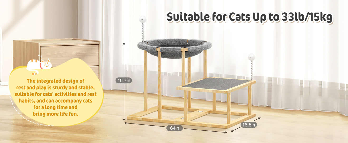 cat hammock, elevated cat bed