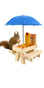 squirrel feeder