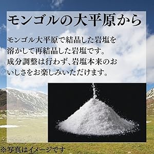 Amazon.co.jp: 蒙古の塩 天外天塩 業務用 20kg×1袋 岩塩/微粒