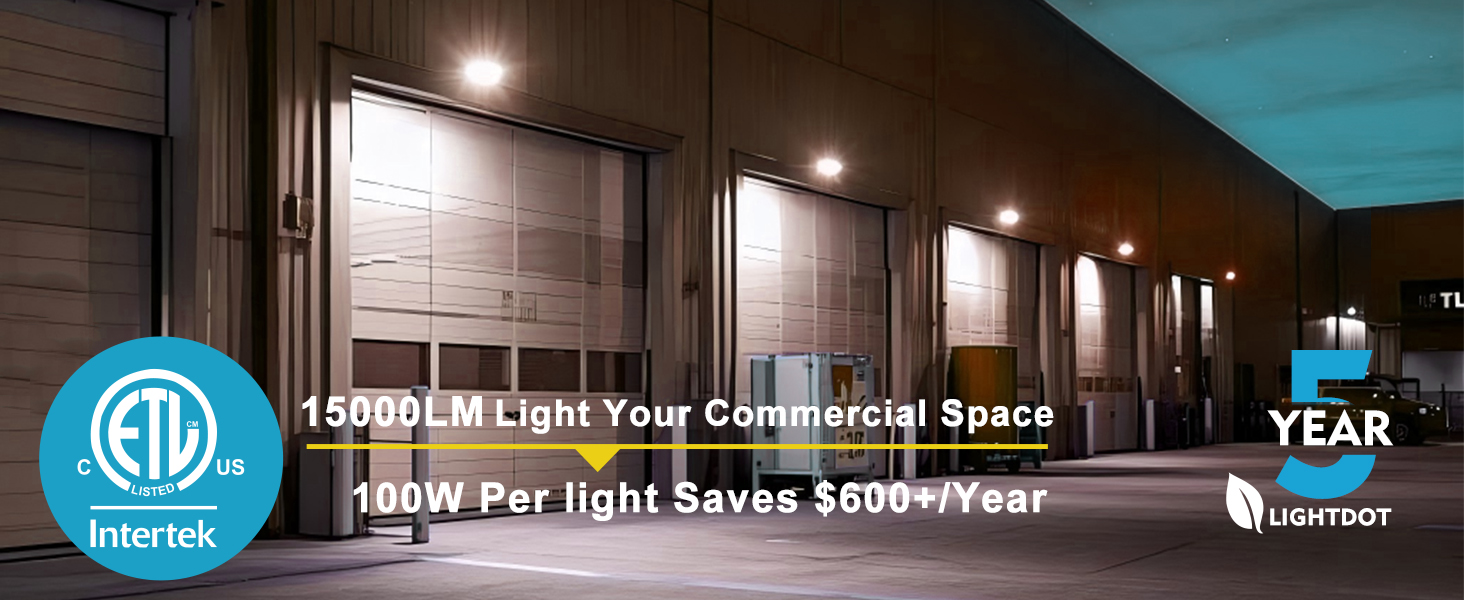 LED Wall Pack Light
