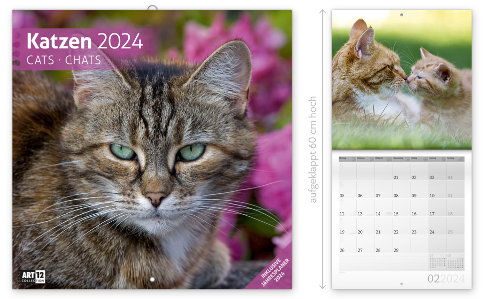 Katzen 2024, Wandkalender / Broschürenkalender im Hochformat ...
