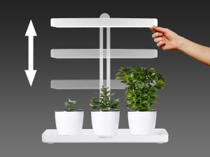 Small manufacture image 2