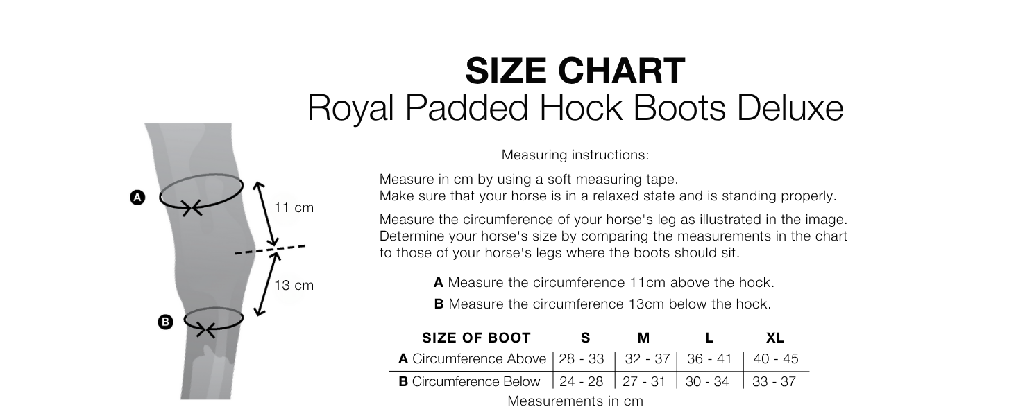 BOT 2022 Royal Padded Hock Boots Size Chart (Desktop)