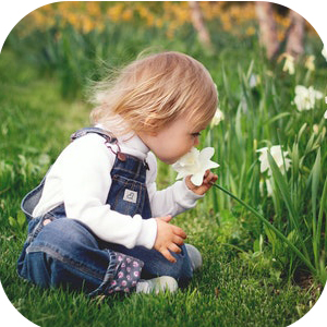 gardening gift