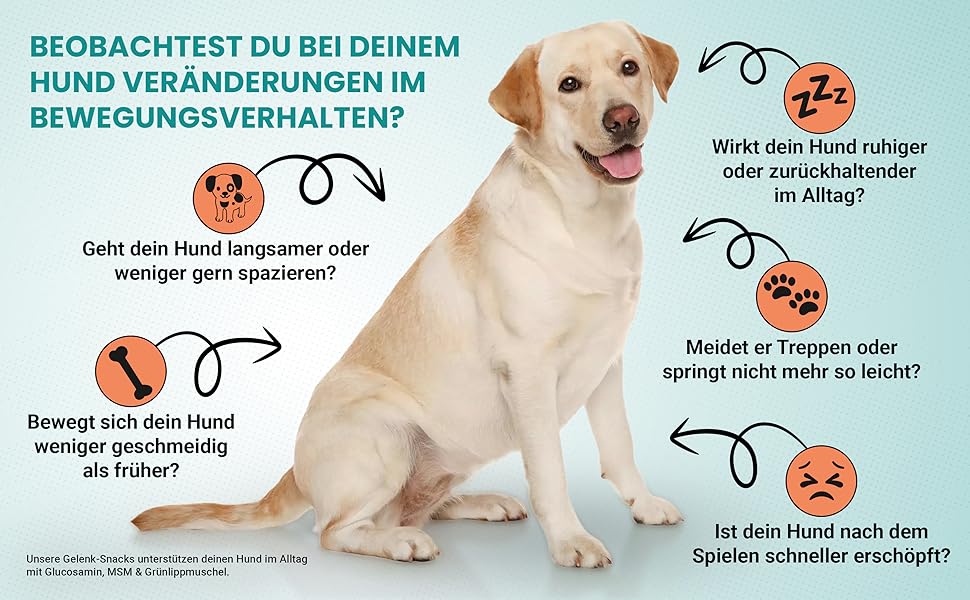 Aplus-Inhaltsbild