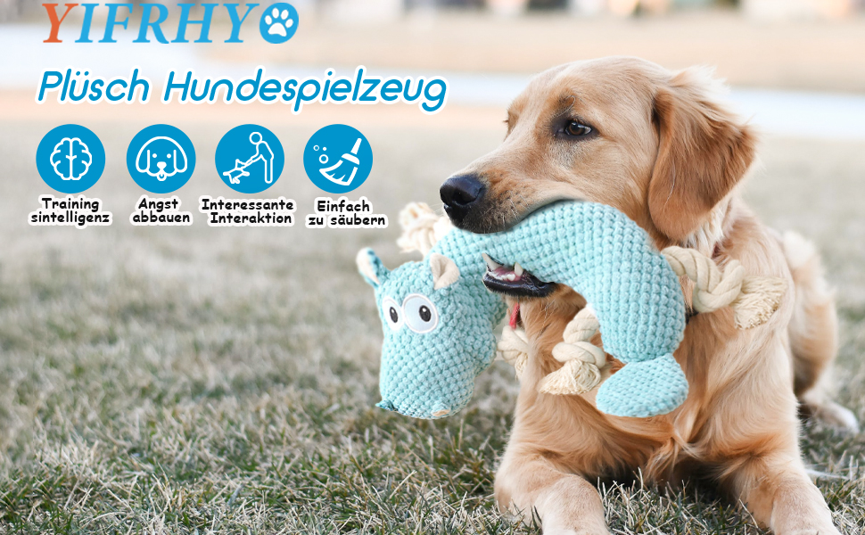 hundespielzeug