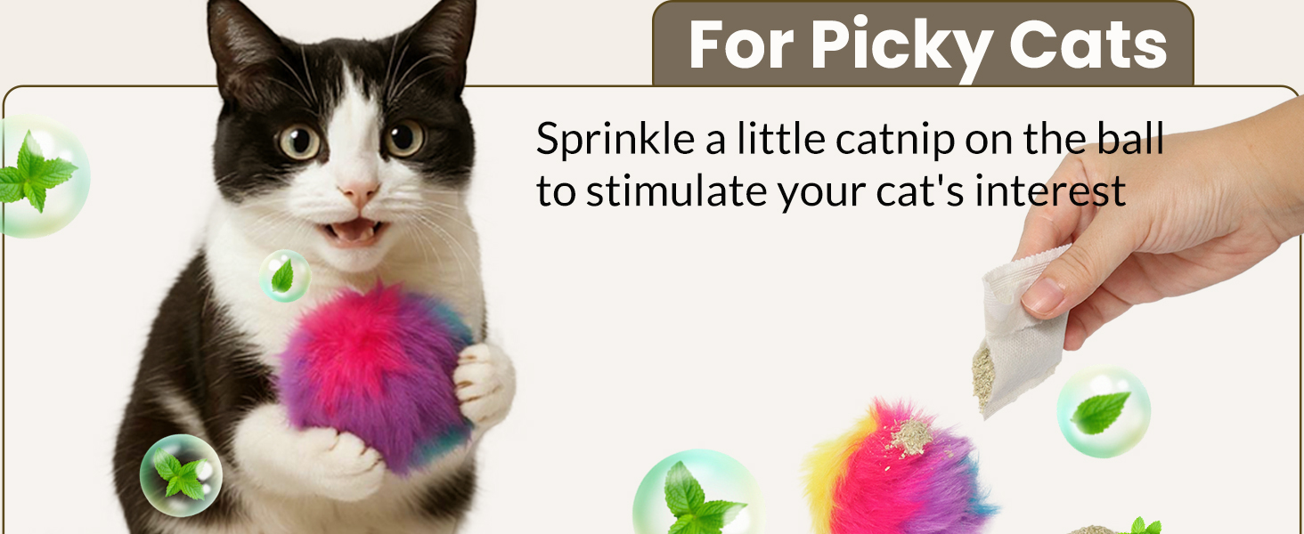catnip toys for cats