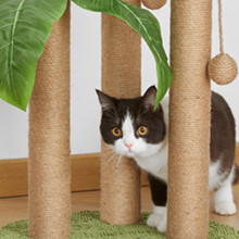 HOMYHANDS 80CM Cat Scratching Post, Medium Cat Scratcher Tree with 3 Scratching Poles Scratch Post for Large Cats with 2 Teasing Hanging Ball, Natural Sisal Rope (80CM) 15 Cat Scratching