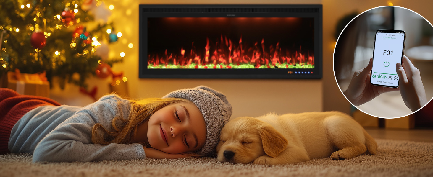 electric fireplace BIZ