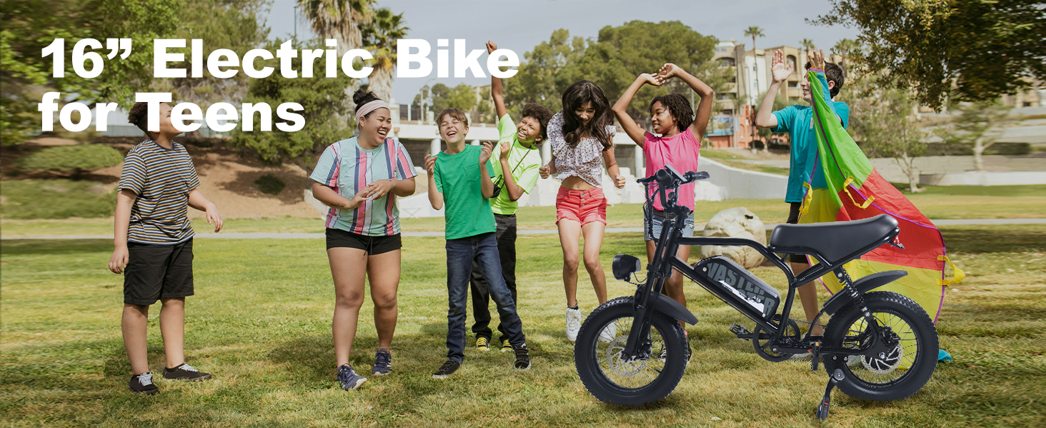 ebike