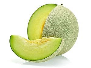 新鮮な緑色メロン 新鮮な緑色メロン