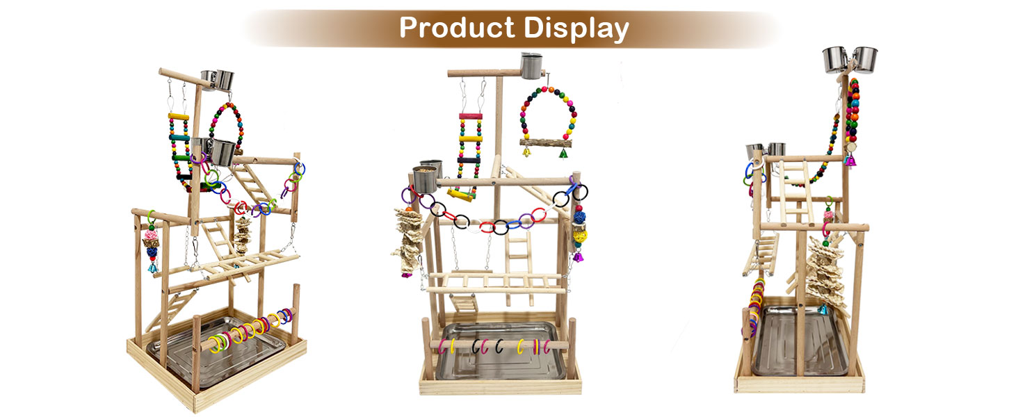 Different bird playground