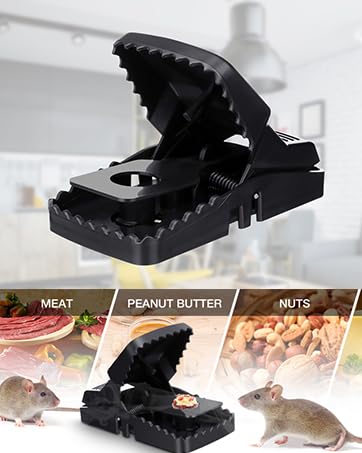 trampas para ratas para interiores