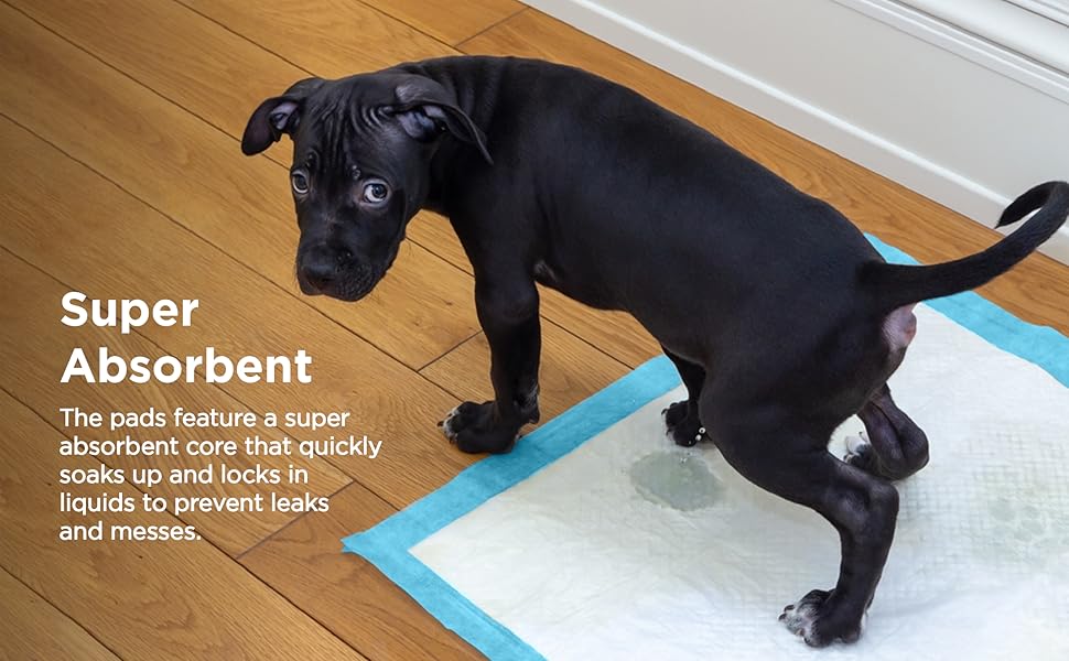 JAMES Heavy Duty Super Absorbent Fast Drying Toilet Pee Puppy Training