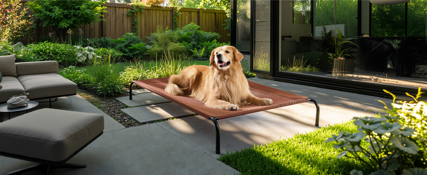 outdoor dog bed