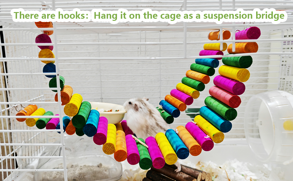 Hamster Colorful Bridge