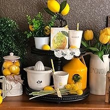 counter tiered tray lemon summer shelf display with tier tray decor