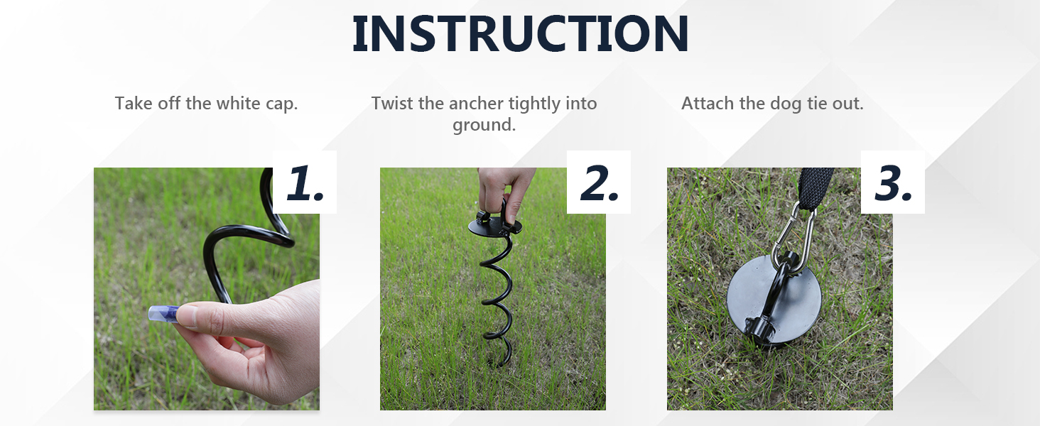 Spiral Ground Anchor with Dog Tie Out