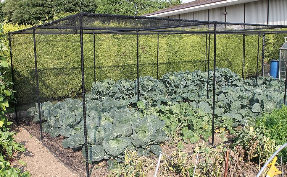 Walk in (H1.9m) Fruit & Vegetable Garden Cage Black Powder Coated